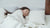 Obtenez votre meilleur sommeil : Comment choisir le matelas et l'oreiller parfaits pour votre style de sommeil